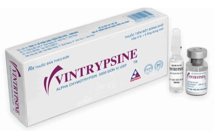 Vintrypsine 5000C Hộp 5 lọ x 5 ống nước cất pha tiêm 1ml