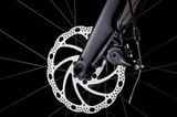  Trek Domane AL 2 Gen 4 