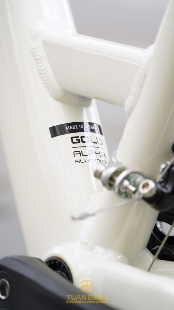 Verve 1 Disc Lowstep