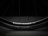  TREK FX 3 DISC 2022 - 2023 