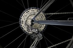 TREK PROCALIBER 9.6 2024