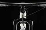  TREK PROCALIBER 9.7 2024 