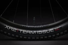 TREK PROCALIBER 9.6 2022-2023