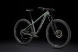 Trek Roscoe 6 2024 