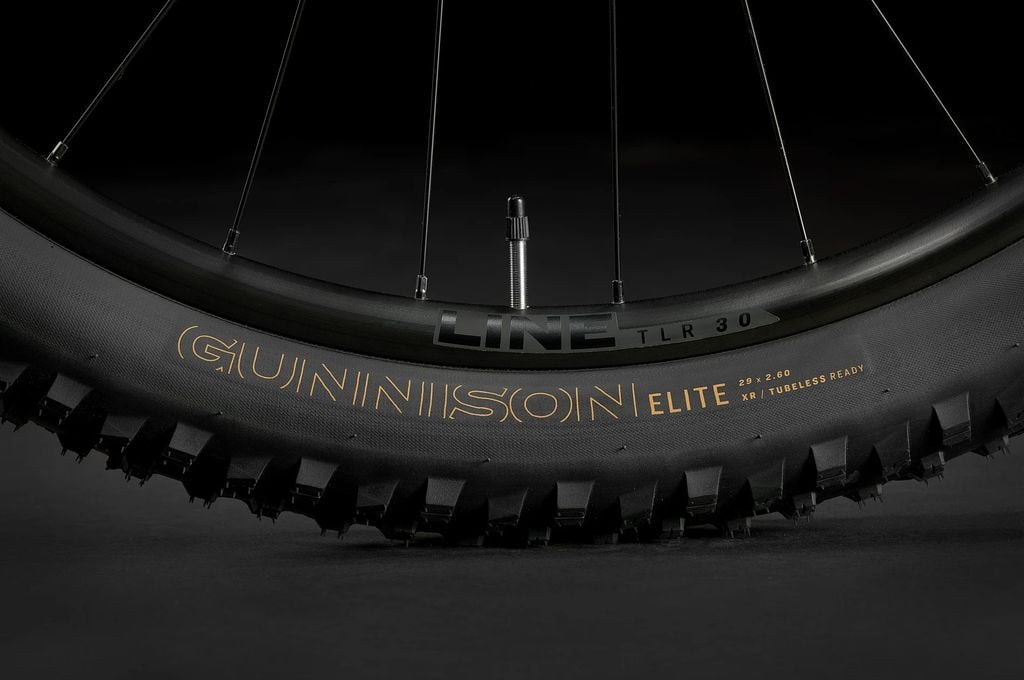 Trek Roscoe 6 2024