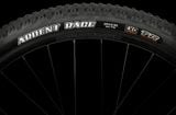  TREK X-CALIBER 8 2023 