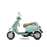  XE MÁY ĐIỆN TAILG R51 