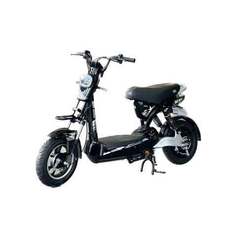 Xe Đạp Điện DK BIKE