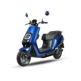  XE ĐIỆN EVGO D 