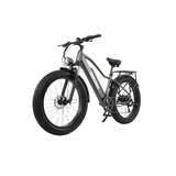  Xe đạp trợ lực điện RX70 