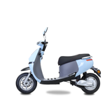  XE MÁY ĐIỆN TAILG R31 
