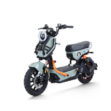  XE ĐẠP ĐIỆN TAILG X51 