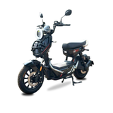  XE ĐẠP ĐIỆN TAILG X51 