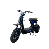  Xe Đạp Điện SKI BIKE 