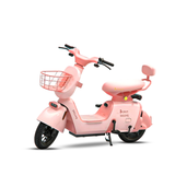 XE ĐẠP ĐIỆN K2 DYLEXE 