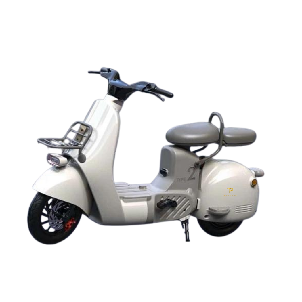  Xe Đạp Điện DoinNext Type 2 
