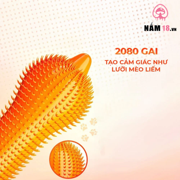 Bao Cao Su Gai Olo Spike G