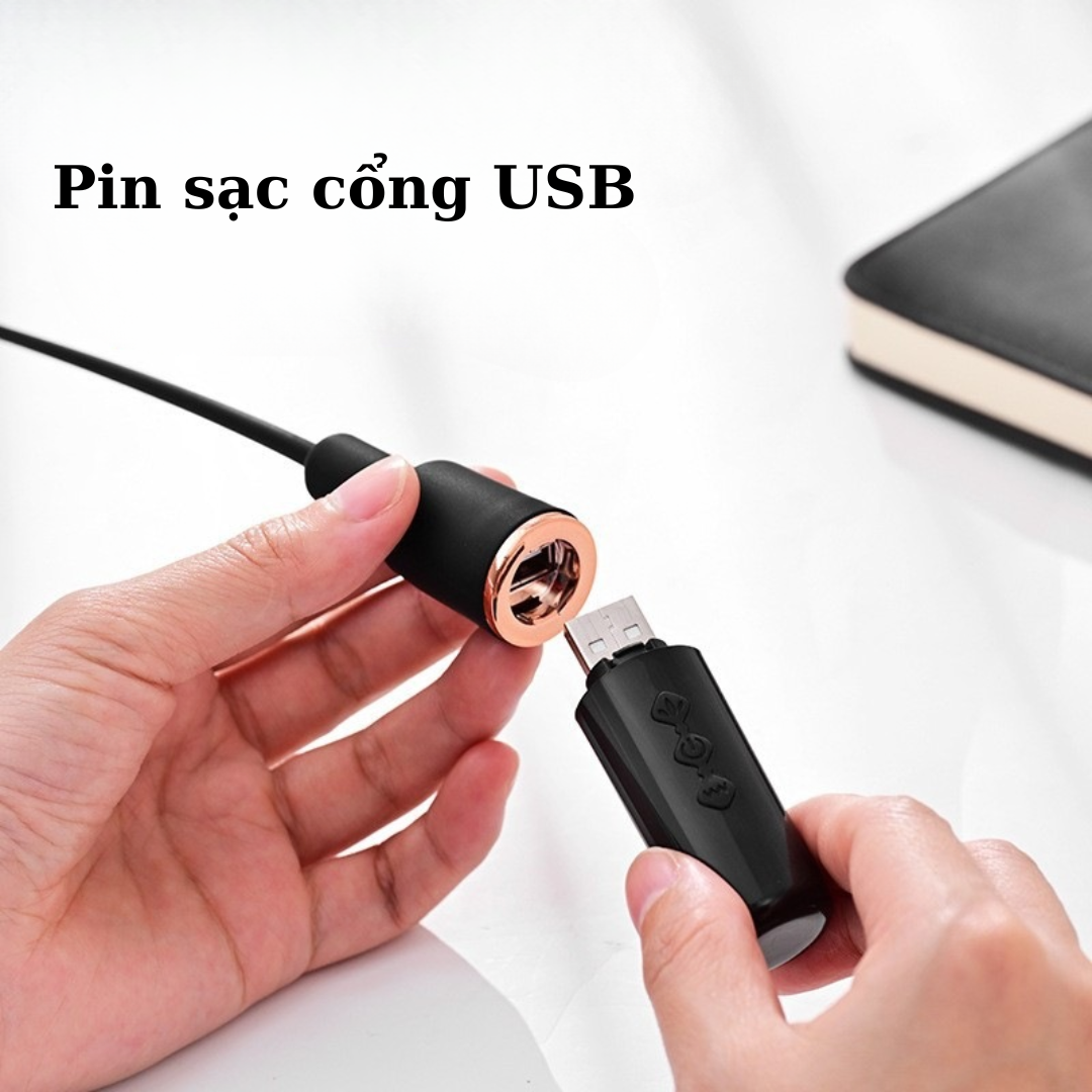  Que Kích Thích Niệu Đạo Roselex 10 Chế Độ Rung 