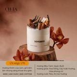  Nến thơm handmade Citta hoa cỏ 4 mùa hương thơm tự nhiên thư giãn trang trí decor phòng bàn làm việc 