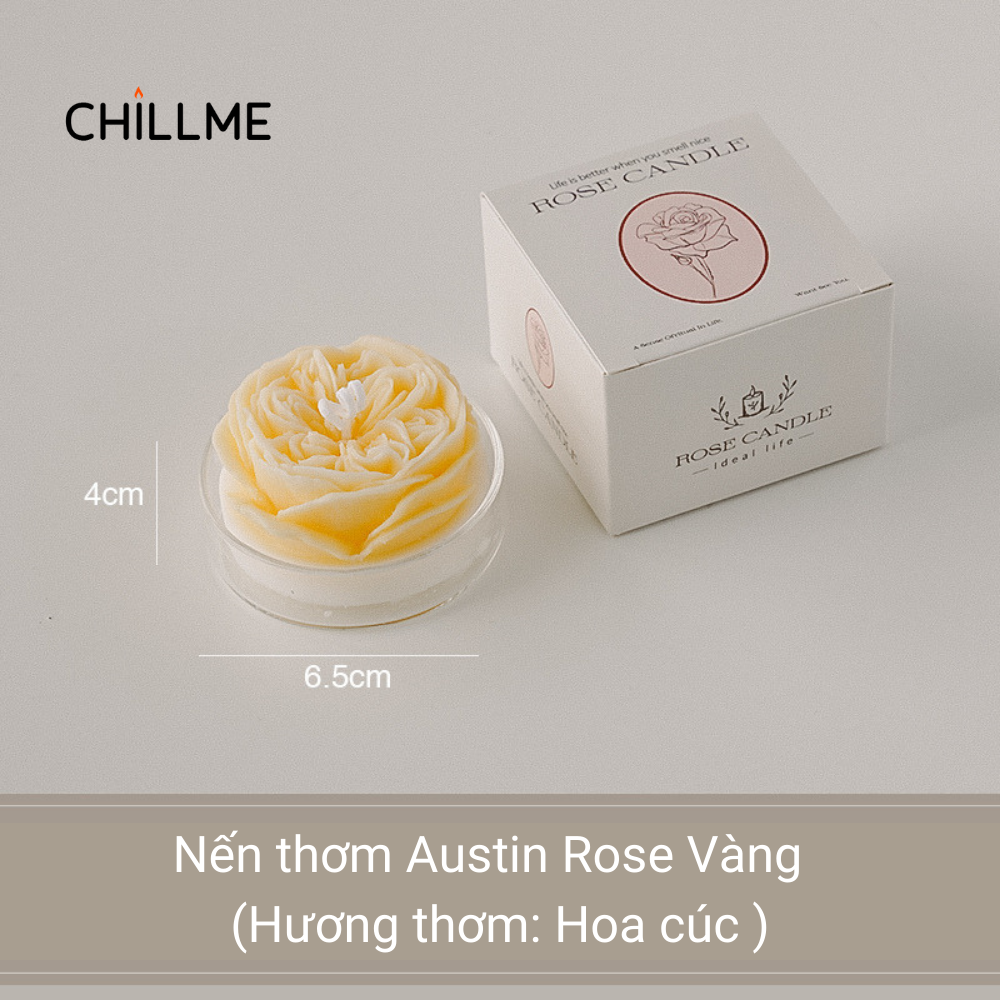  Nến thơm tealight tạo hình hoa hồng Rose Chillme có đế trang trí dễ thương làm quà tặng đám cưới ngày lễ 