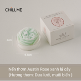  Nến thơm tealight tạo hình hoa hồng Rose Chillme có đế trang trí dễ thương làm quà tặng đám cưới ngày lễ 