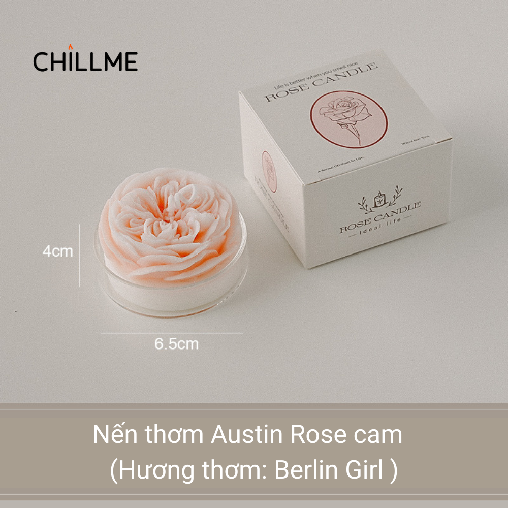  Nến thơm tealight tạo hình hoa hồng Rose Chillme có đế trang trí dễ thương làm quà tặng đám cưới ngày lễ 