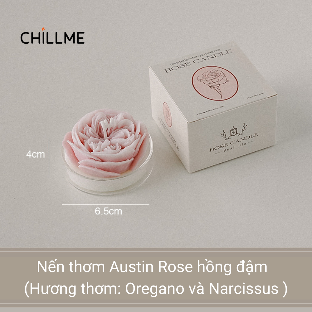  Nến thơm tealight tạo hình hoa hồng Rose Chillme có đế trang trí dễ thương làm quà tặng đám cưới ngày lễ 