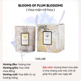  Nến thơm phòng classic Chillme mùi hương tự nhiên làm quà tặng thư giãn khử mùi decor 
