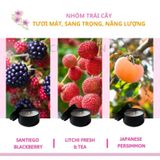  Nến thơm tealight mini cao cấp chillme sáp đậu nành organic decor trang trí nhà cửa và quà tặng 