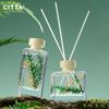 Set tinh dầu Chillme FOREST 2 chai 120ml và 150ml thơm phòng làm quà tặng sinh nhật sang trọng hương trà