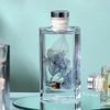 Tinh dầu thơm phòng tán hương Chillme hoa thơm khuếch tán sang trọng đuổi muỗi decor trang trí - TDCT04