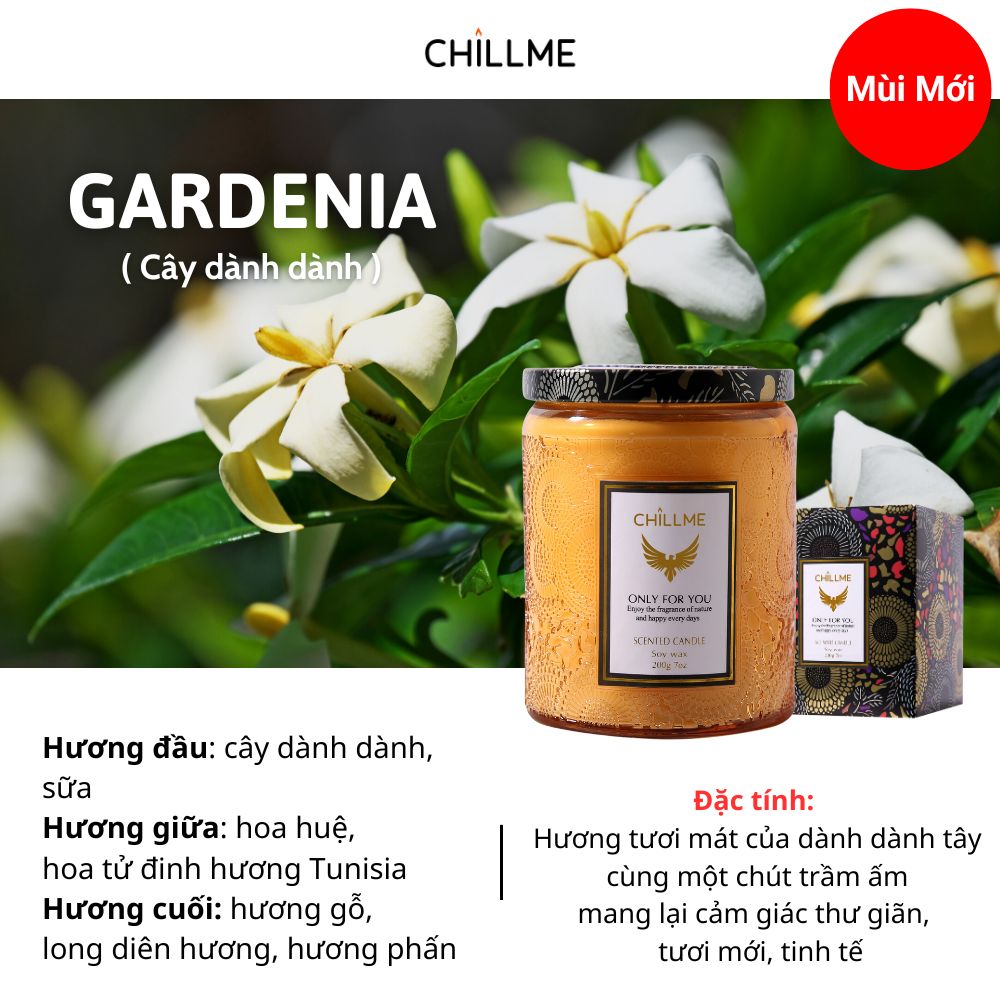  Nến thơm vintage Chillme hương tươi mới sang trọng 200g thơm thư giãn tinh tế - Gardenia 