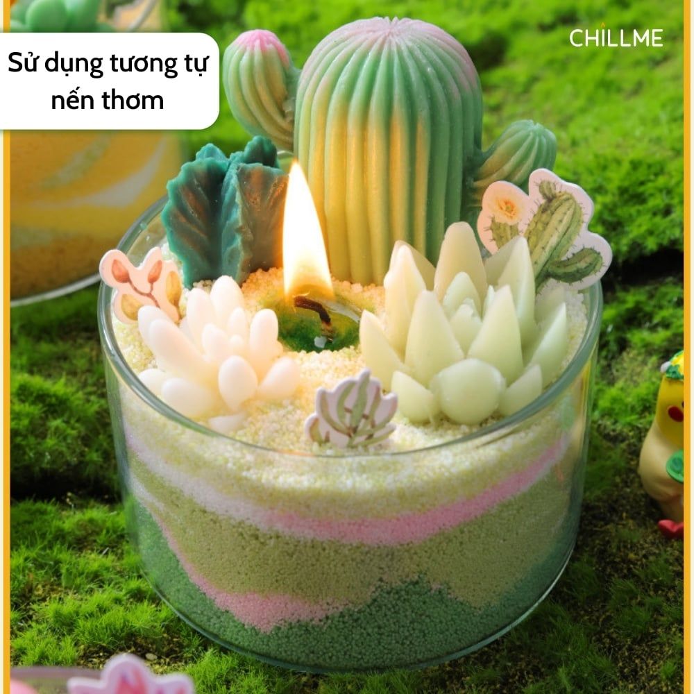  Nến thơm xương rồng tranh cát Chillme DIY handmade khử mùi làm quà tặng cưới sinh nhật decor 