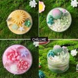  Nến thơm xương rồng tranh cát Chillme DIY handmade khử mùi làm quà tặng cưới sinh nhật decor 