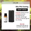  Tinh dầu Dewy Moss Chillme 15ml 