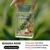  Tinh dầu thơm phòng cao cấp CITTA RUGOSA ROSE làm quà tặng sang trọng tinh tế hương hoa hồng nhật 