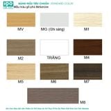 Bàn Training 1m2 có ngăn BHL241-12K