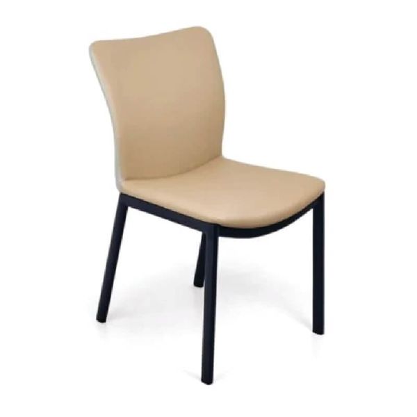 Ghế Ăn, Ghế Bàn Ăn GT2317 | Chân Thép