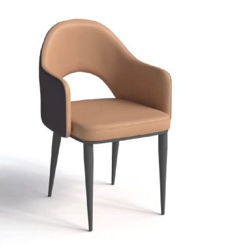 Ghế Ăn Cao Cấp GT247