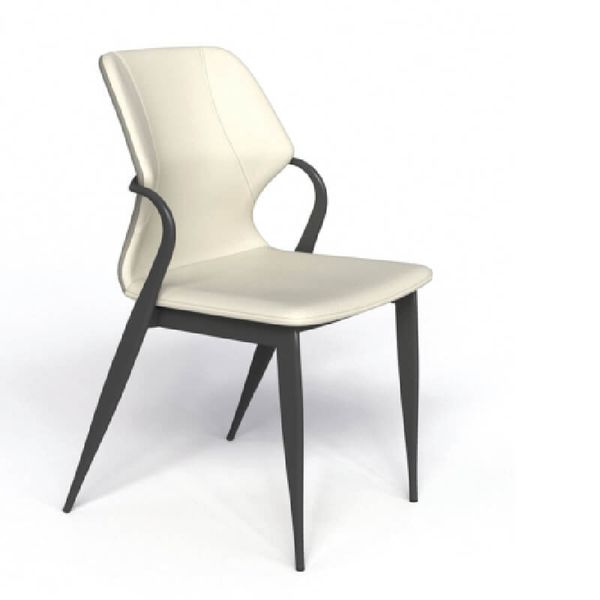 Ghế Ăn Cao Cấp GT249