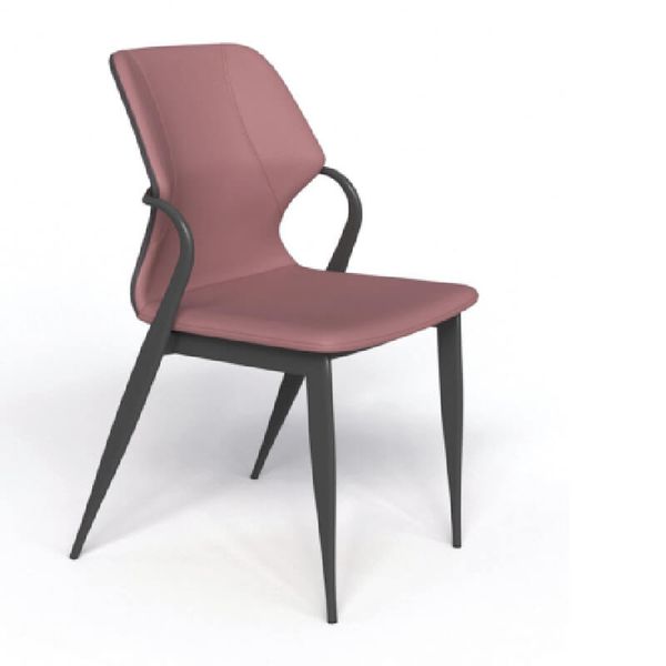 Ghế Ăn Cao Cấp GT249