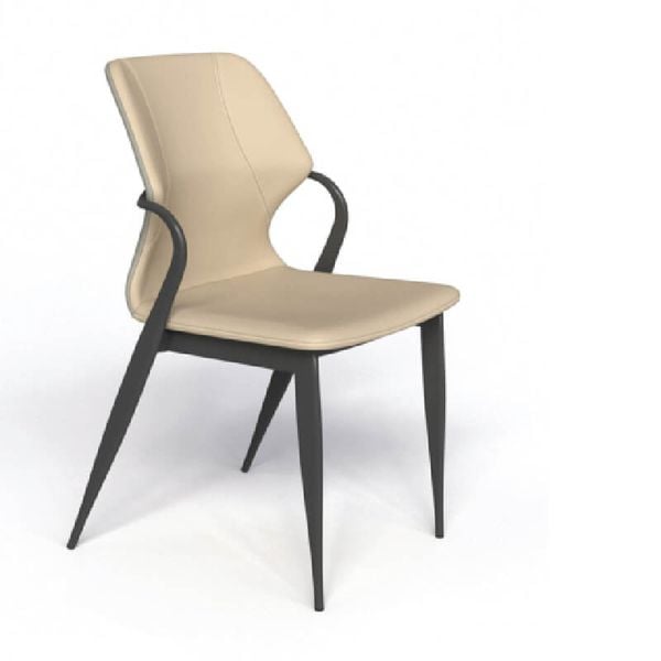 Ghế Ăn Cao Cấp GT249