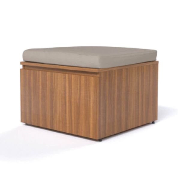 Tủ Gỗ Thông Minh TGJ01-60