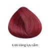 Hộp nhuộm tóc thuần chay - B&R VEGAN HAIR COLOR BOX