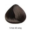 Hộp nhuộm tóc thuần chay - B&R VEGAN HAIR COLOR BOX