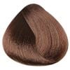 Màu nhuộm thuần chay Synbiosis