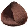 Màu nhuộm thuần chay Synbiosis