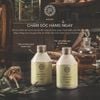 Dầu gội hàng ngày thuần chay - B&R DAILY SHAMPOO