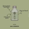 Dầu gội hàng ngày thuần chay - B&R DAILY SHAMPOO