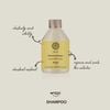 Dầu gội thuần chay phục hồi hư tổn - B&R REPARATIVE SHAMPOO